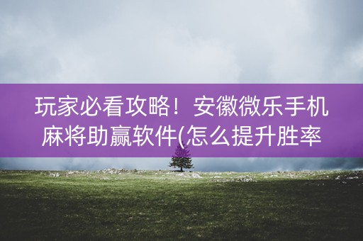 玩家必看攻略！安徽微乐手机麻将助赢软件(怎么提升胜率)