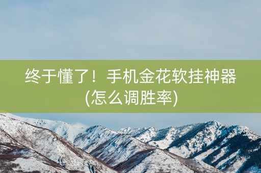 终于懂了！手机金花软挂神器(怎么调胜率)