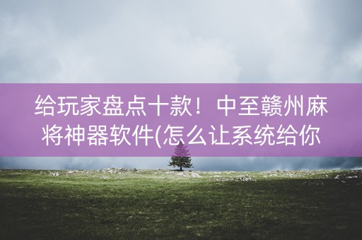 给玩家盘点十款！中至赣州麻将神器软件(怎么让系统给你发好牌)