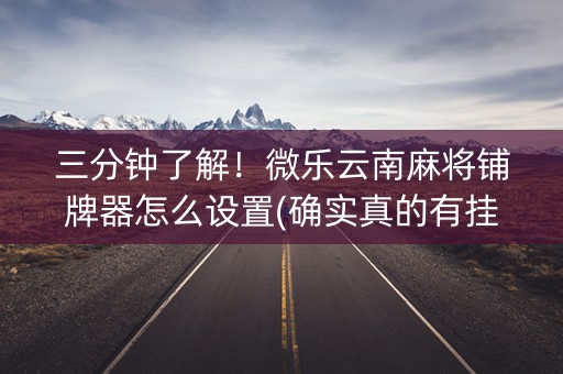 三分钟了解！微乐云南麻将铺牌器怎么设置(确实真的有挂)