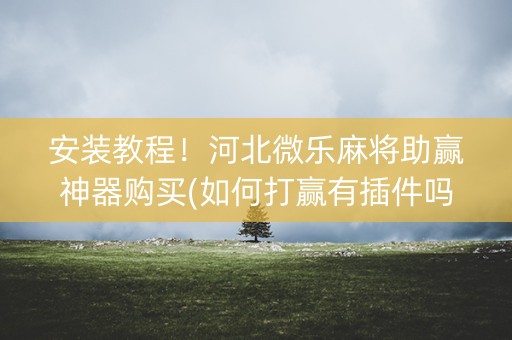 安装教程！河北微乐麻将助赢神器购买(如何打赢有插件吗)