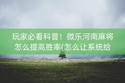 玩家必看科普！微乐河南麻将怎么提高胜率(怎么让系统给好牌)