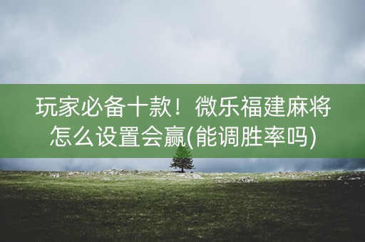 玩家必备十款！微乐福建麻将怎么设置会赢(能调胜率吗)