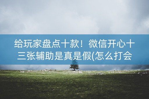 给玩家盘点十款！微信开心十三张辅助是真是假(怎么打会赢)