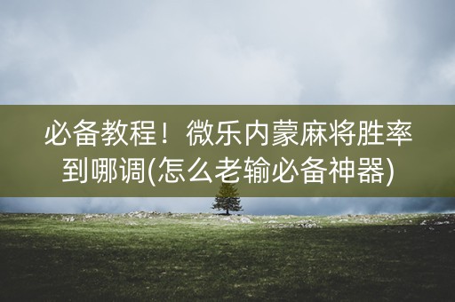 必备教程！微乐内蒙麻将胜率到哪调(怎么老输必备神器)