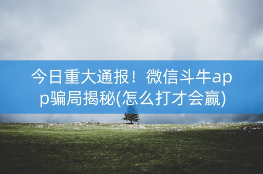 今日重大通报！微信斗牛app骗局揭秘(怎么打才会赢)