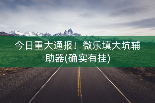 今日重大通报！微乐填大坑辅助器(确实有挂)