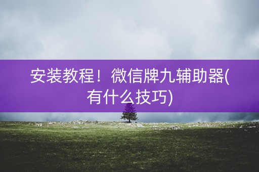 安装教程！微信牌九辅助器(有什么技巧)