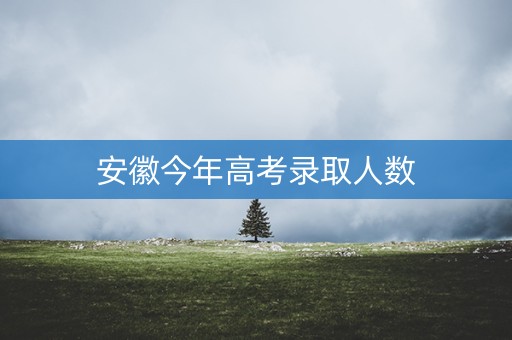 安徽今年高考录取人数