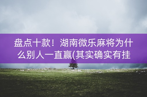 盘点十款！湖南微乐麻将为什么别人一直赢(其实确实有挂)