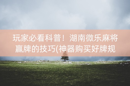 玩家必看科普！湖南微乐麻将赢牌的技巧(神器购买好牌规律)