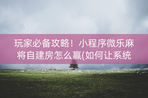 玩家必备攻略！小程序微乐麻将自建房怎么赢(如何让系统发好牌)