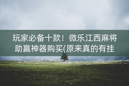 玩家必备十款！微乐江西麻将助赢神器购买(原来真的有挂)