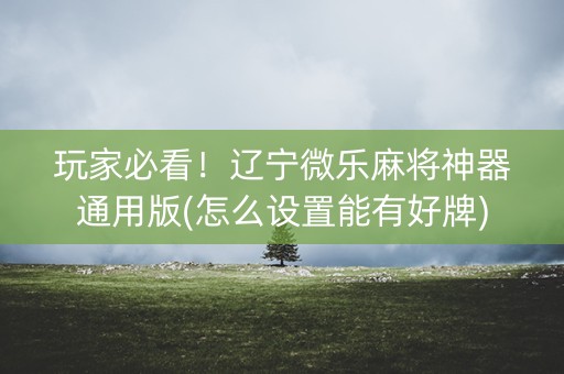 玩家必看！辽宁微乐麻将神器通用版(怎么设置能有好牌)