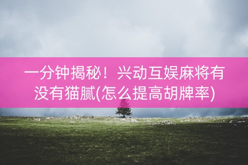 一分钟揭秘！兴动互娱麻将有没有猫腻(怎么提高胡牌率)