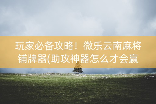 玩家必备攻略！微乐云南麻将铺牌器(助攻神器怎么才会赢)