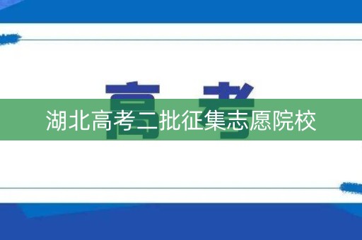 湖北高考二批征集志愿院校