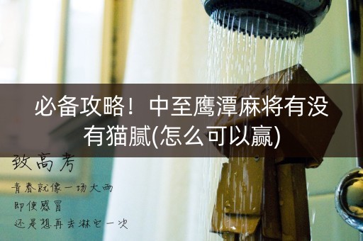 必备攻略！中至鹰潭麻将有没有猫腻(怎么可以赢)