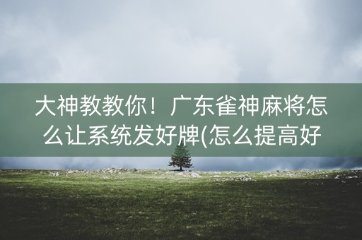 大神教教你！广东雀神麻将怎么让系统发好牌(怎么提高好牌几率)
