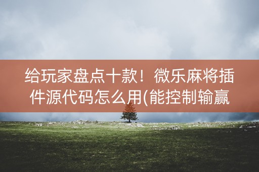 给玩家盘点十款！微乐麻将插件源代码怎么用(能控制输赢吗)