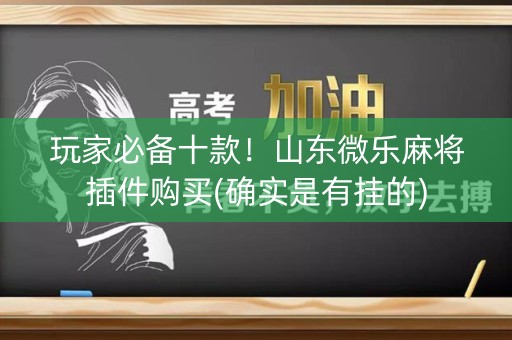 玩家必备十款！山东微乐麻将插件购买(确实是有挂的)