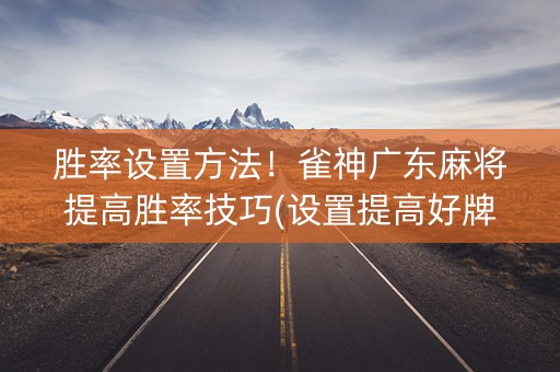 胜率设置方法！雀神广东麻将提高胜率技巧(设置提高好牌几率)