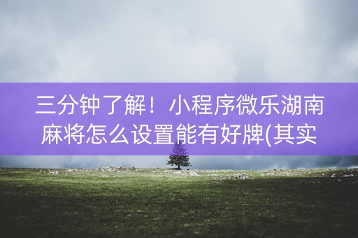 三分钟了解！小程序微乐湖南麻将怎么设置能有好牌(其实真的确实有挂)