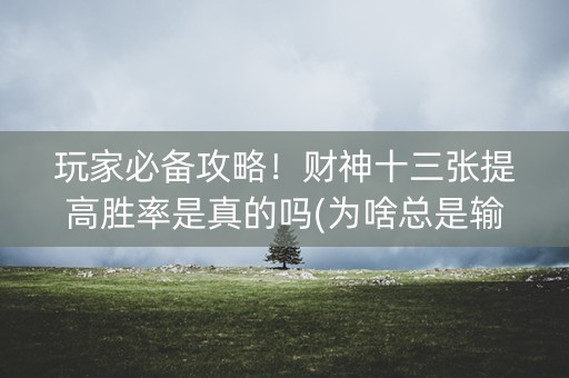 玩家必备攻略！财神十三张提高胜率是真的吗(为啥总是输)