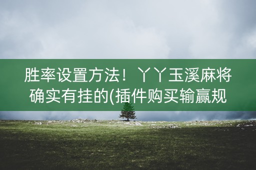 胜率设置方法！丫丫玉溪麻将确实有挂的(插件购买输赢规律)