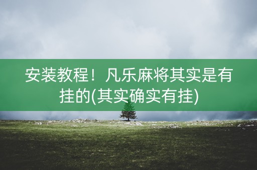 安装教程！凡乐麻将其实是有挂的(其实确实有挂)