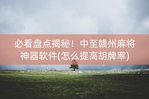 必看盘点揭秘！中至赣州麻将神器软件(怎么提高胡牌率)