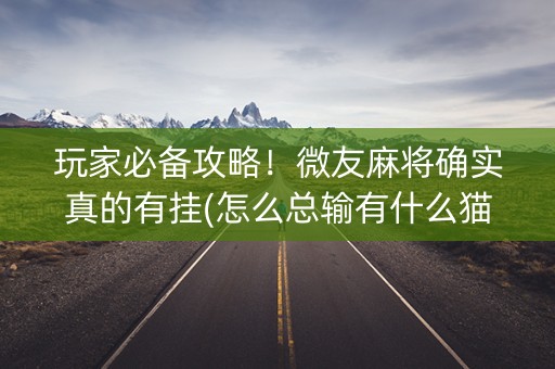 玩家必备攻略！微友麻将确实真的有挂(怎么总输有什么猫腻)