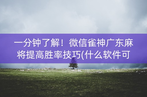 一分钟了解！微信雀神广东麻将提高胜率技巧(什么软件可以赢)