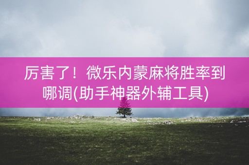 厉害了！微乐内蒙麻将胜率到哪调(助手神器外辅工具)