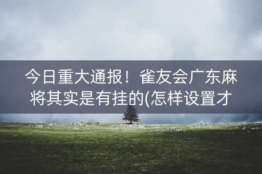 今日重大通报！雀友会广东麻将其实是有挂的(怎样设置才容易赢)