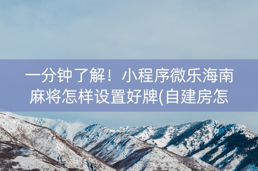 一分钟了解！小程序微乐海南麻将怎样设置好牌(自建房怎么赢)