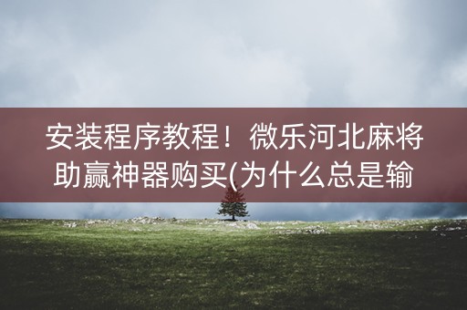 安装程序教程！微乐河北麻将助赢神器购买(为什么总是输)