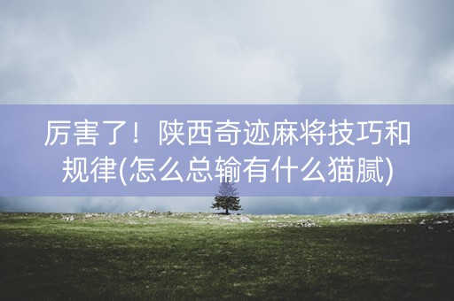 厉害了！陕西奇迹麻将技巧和规律(怎么总输有什么猫腻)