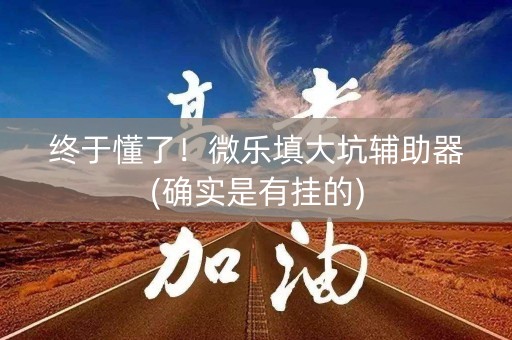 终于懂了！微乐填大坑辅助器(确实是有挂的)