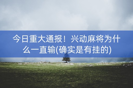 今日重大通报！兴动麻将为什么一直输(确实是有挂的)