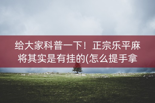给大家科普一下！正宗乐平麻将其实是有挂的(怎么提手拿好牌)