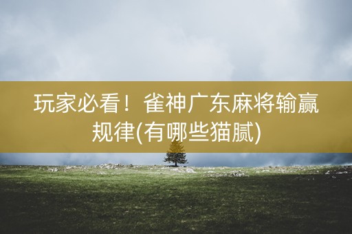 玩家必看！雀神广东麻将输赢规律(有哪些猫腻)
