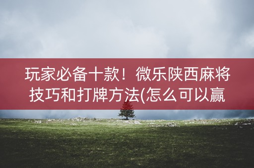 玩家必备十款！微乐陕西麻将技巧和打牌方法(怎么可以赢)