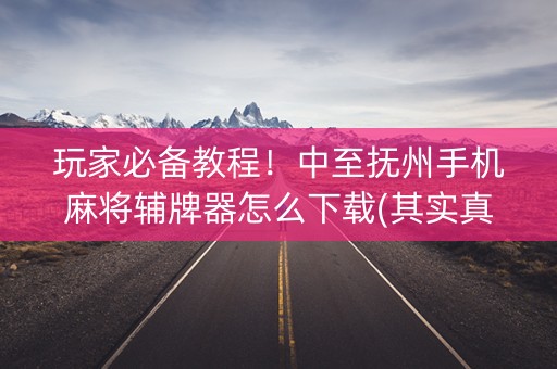 玩家必备教程！中至抚州手机麻将辅牌器怎么下载(其实真的有挂)