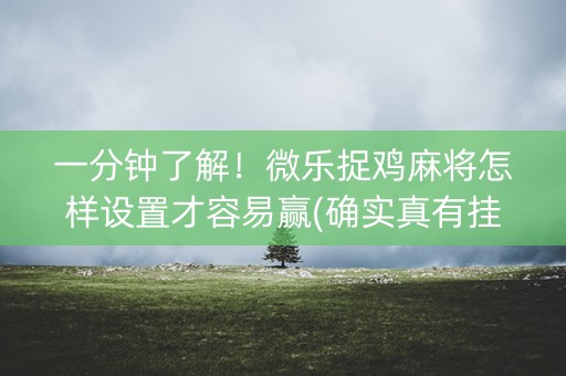 一分钟了解！微乐捉鸡麻将怎样设置才容易赢(确实真有挂)