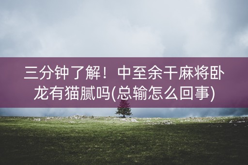 三分钟了解！中至余干麻将卧龙有猫腻吗(总输怎么回事)