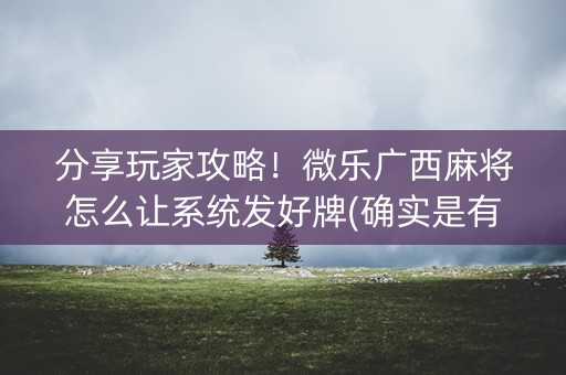 分享玩家攻略！微乐广西麻将怎么让系统发好牌(确实是有挂)