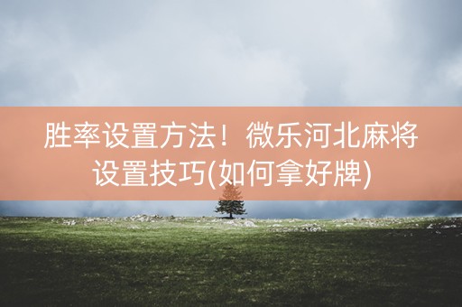 胜率设置方法！微乐河北麻将设置技巧(如何拿好牌)