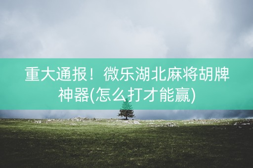 重大通报！微乐湖北麻将胡牌神器(怎么打才能赢)