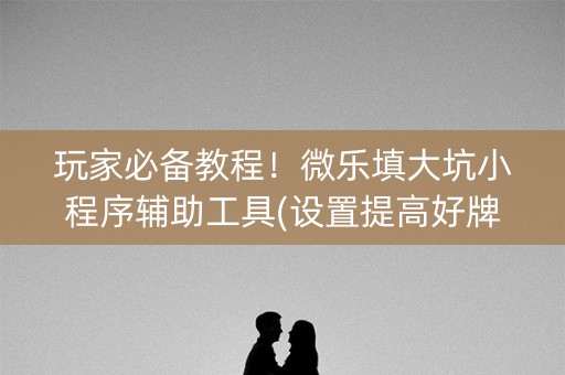 玩家必备教程！微乐填大坑小程序辅助工具(设置提高好牌几率)